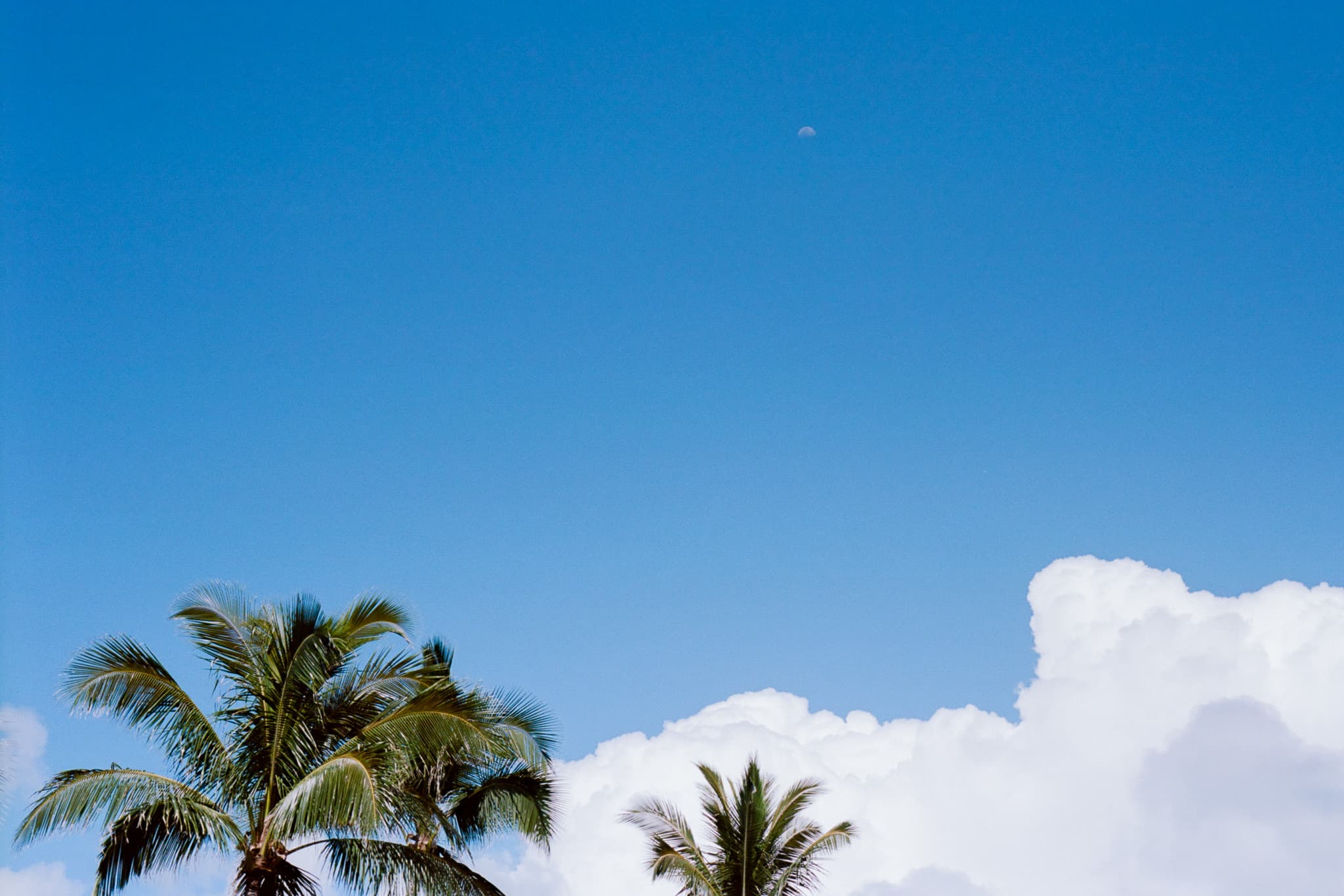 Hawaii