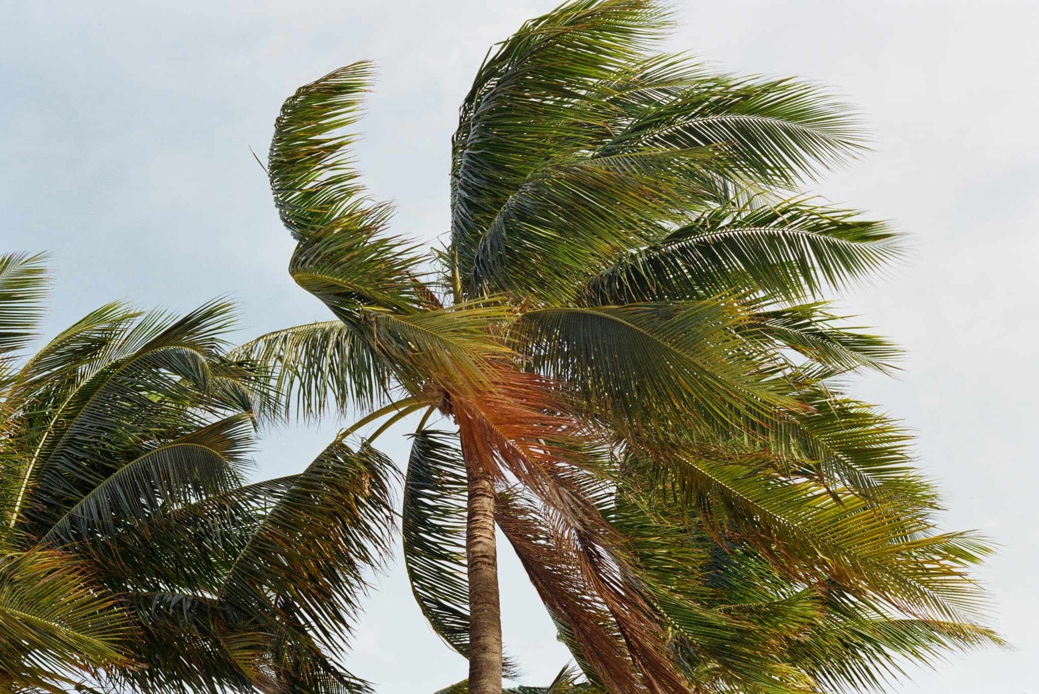 Miami